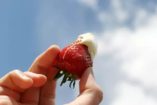 Strawberry and cream