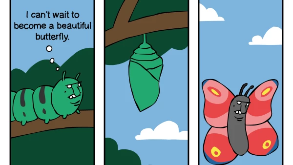 ¿Metamorfosis?