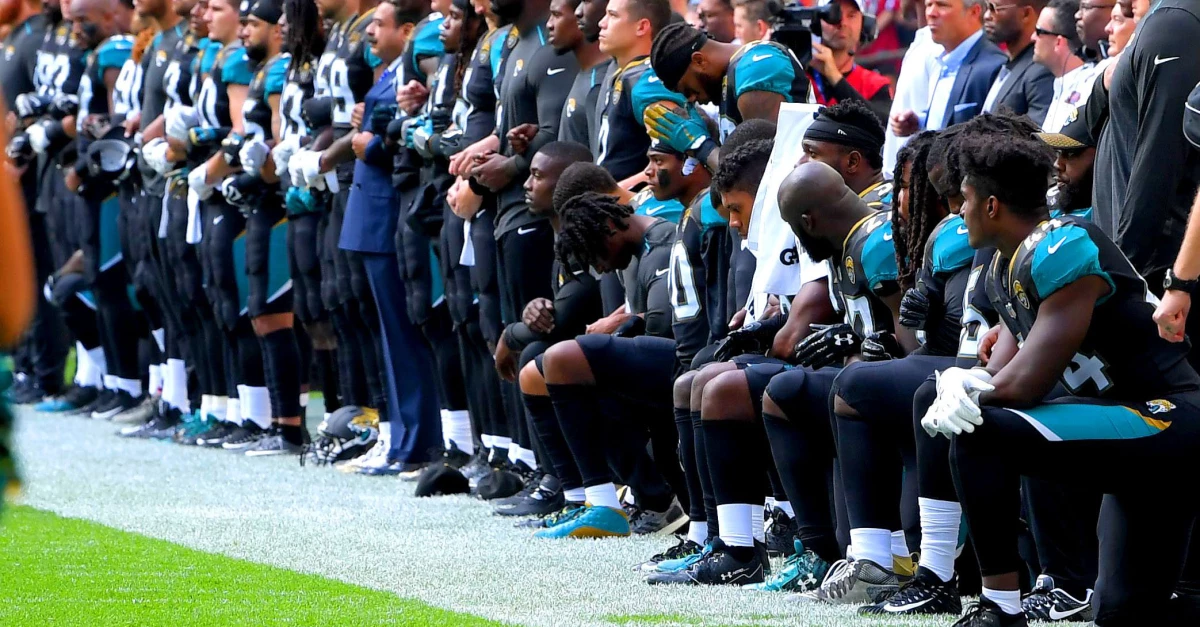 jaguars hincan