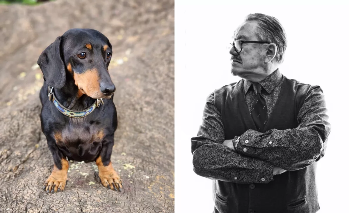 Polémica de Pedro Sola impulsa ley: promover maltrato animal podría costar hasta cuatro años de cárcel
