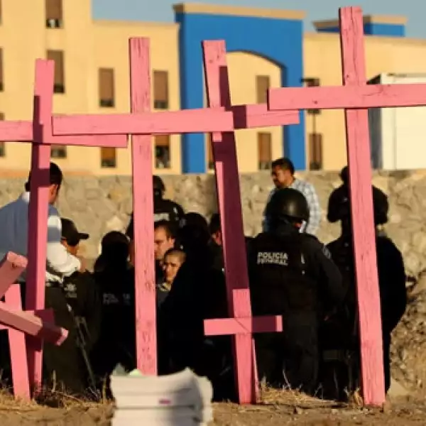 campo algodonero juárez 8