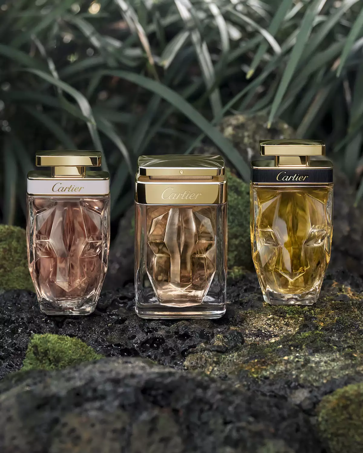 pantera-perfumes-cartier .jpg