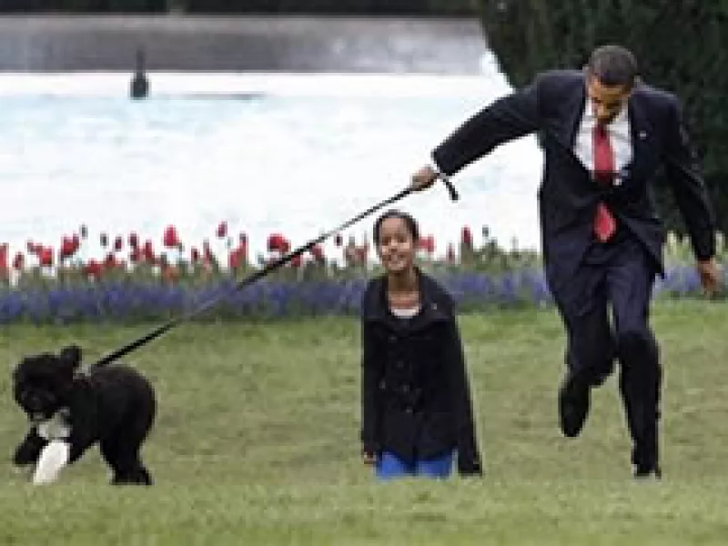 Desde el 4 de noviembre, Barack Obama prometió a sus hijas una mascota (Foto: AP)