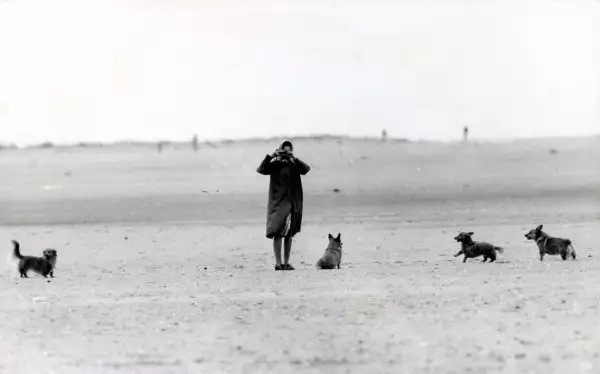 Queen Elizabeth July 1984 The Queen Takes Snaps On Norfolk Beach With Her Corgis.