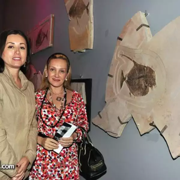 Inauguraci?el Museo El Centenario