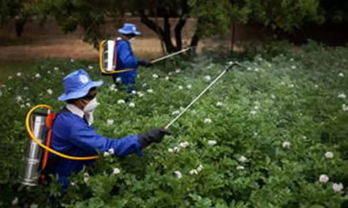 Pesticidas_FAO