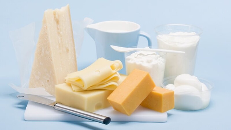 lacteos queso leche