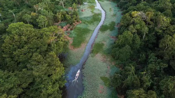 La Amazonía como metáfora: todo sobre Perpetual Planet Amazon Expedition