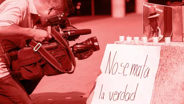 nosemata3.jpg