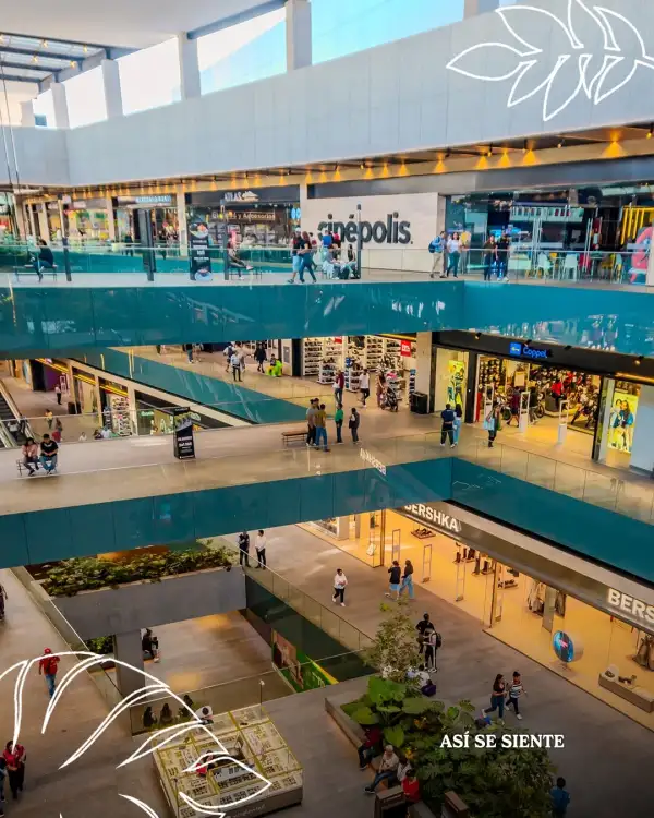 La imagen muestra el interior de Parque Tepeyac y sus distintos niveles.