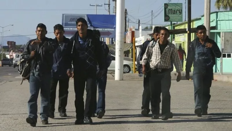 Migrantes caminan en la frontera de Sonora