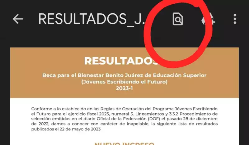 busqueda-celular.jpeg