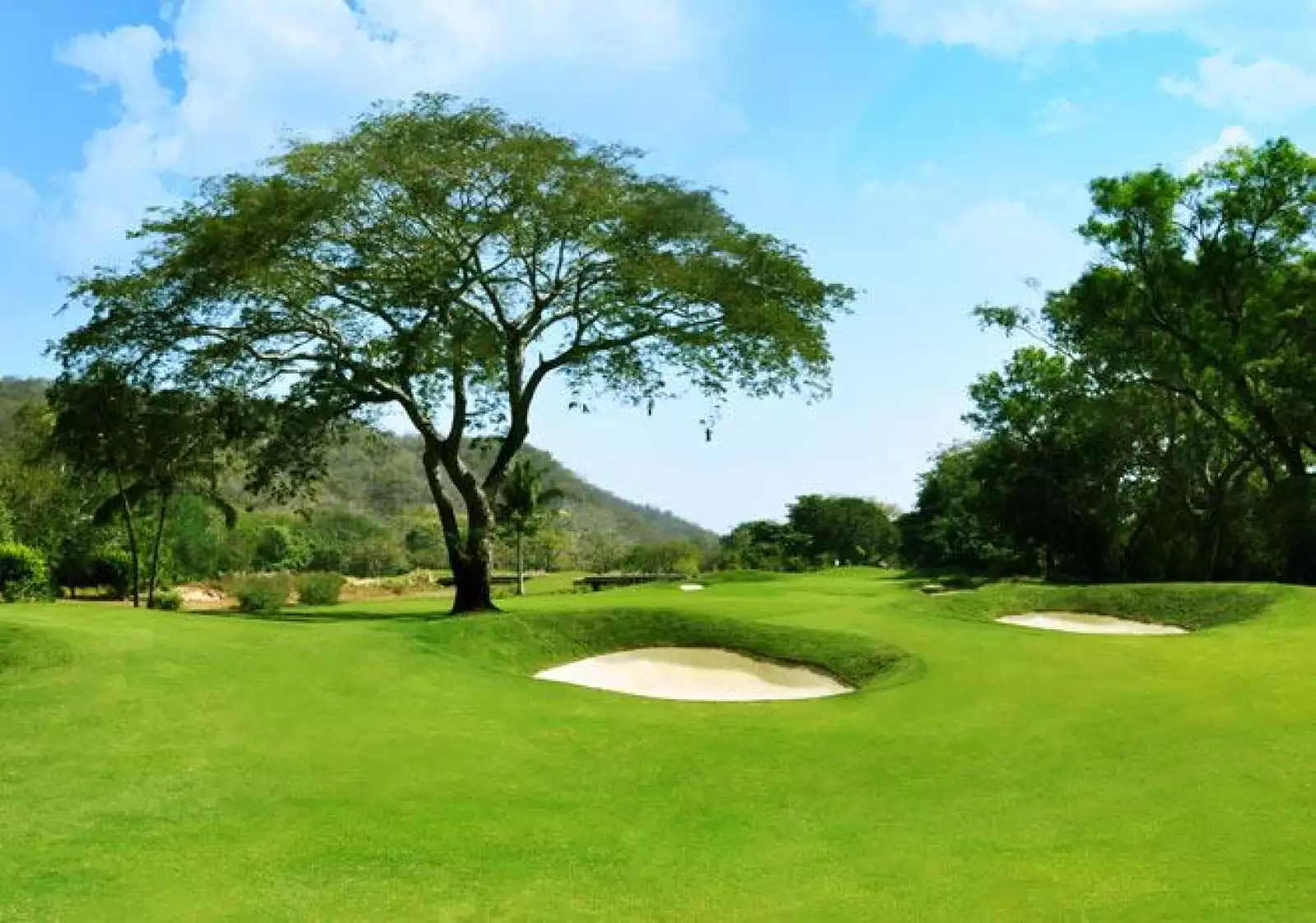 Las Parotas Club de Golf  09