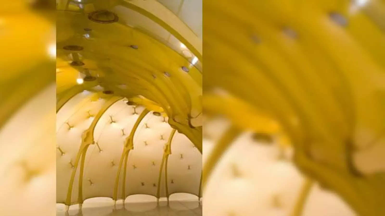 El mundo sensorial del brasileño Ernesto Neto