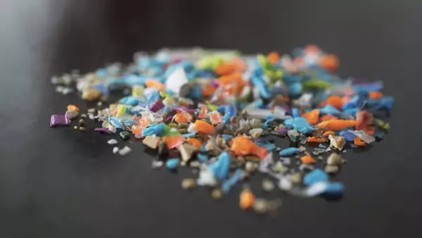 microplasticos-en-el-mar-aumentan-riesgo-de-discapacidad