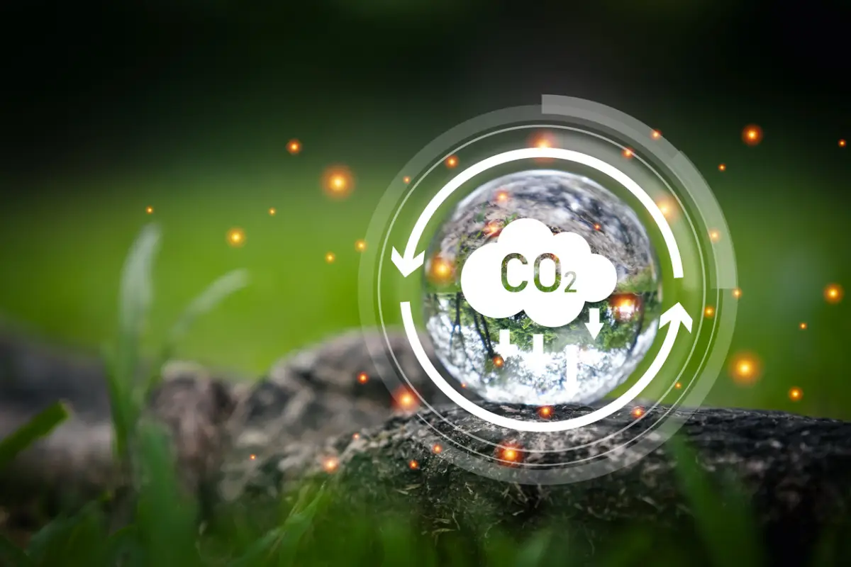 Net zero