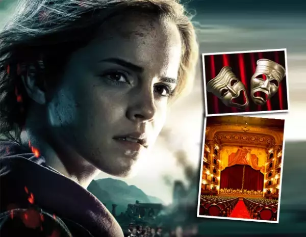 Emma Watson seguiría siendo actriz, tal vez de teatro.