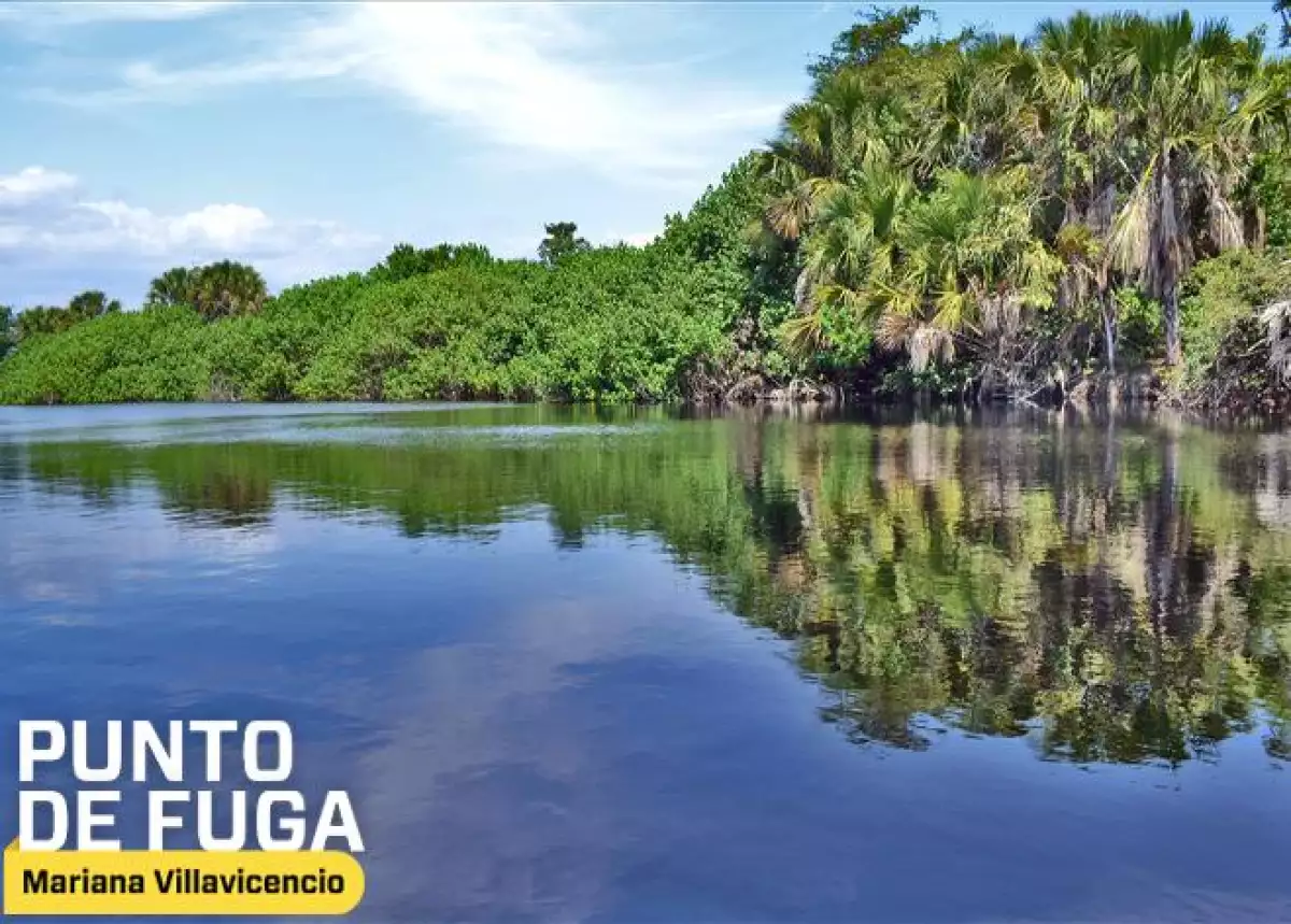 Punto de Fuga_Pol�ticas urbanas