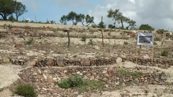 Suelo erosionado de Tlaxcala