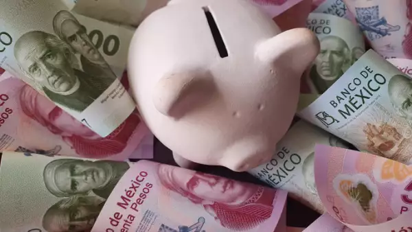 plusvalias-afores-enero