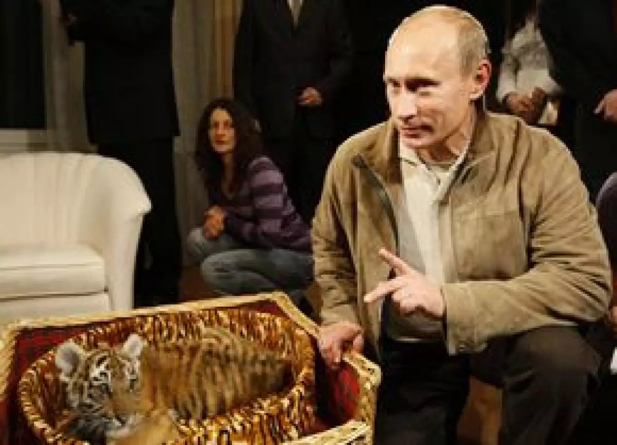 El Primer Ministro ruso dijo que le buscará un hogar adecuado al felino que le dieron como obsequio por su cumpleaños 56.