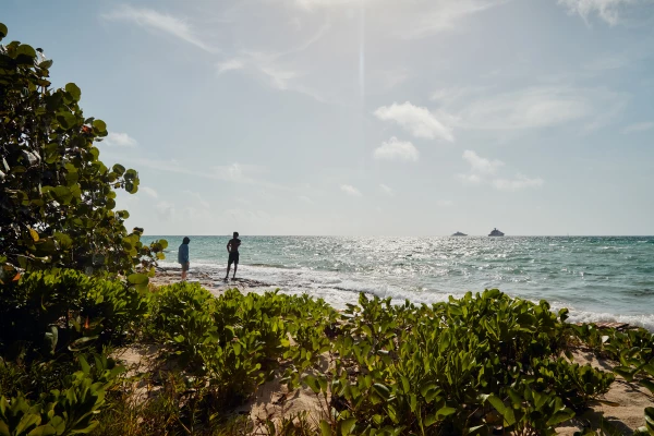 sabatico-bahamas-airbnb