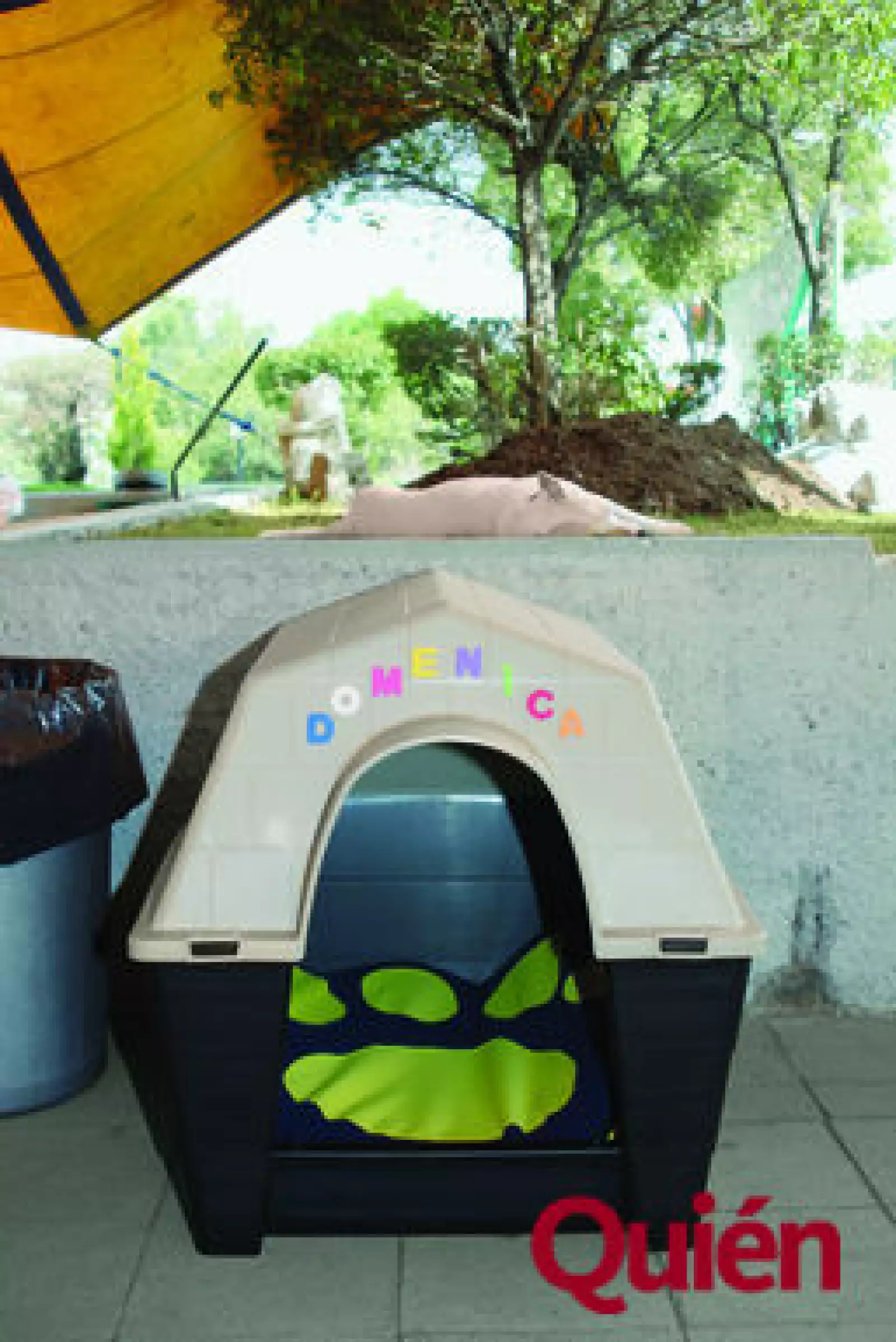 Casa de Domenica, mascota de Jorge Emilio González