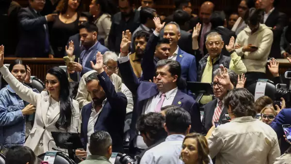 diputados