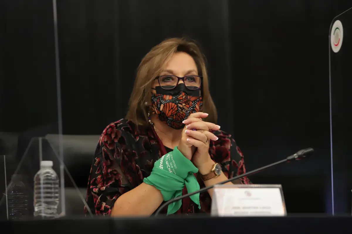 Martha Lucía Mícher Camarena en el Senado de la República