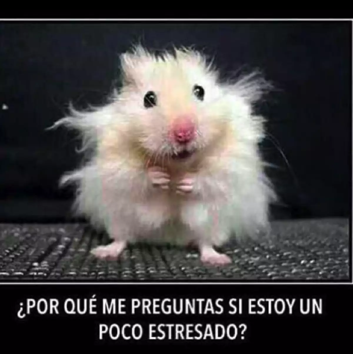 La actriz toma con humor su situación.