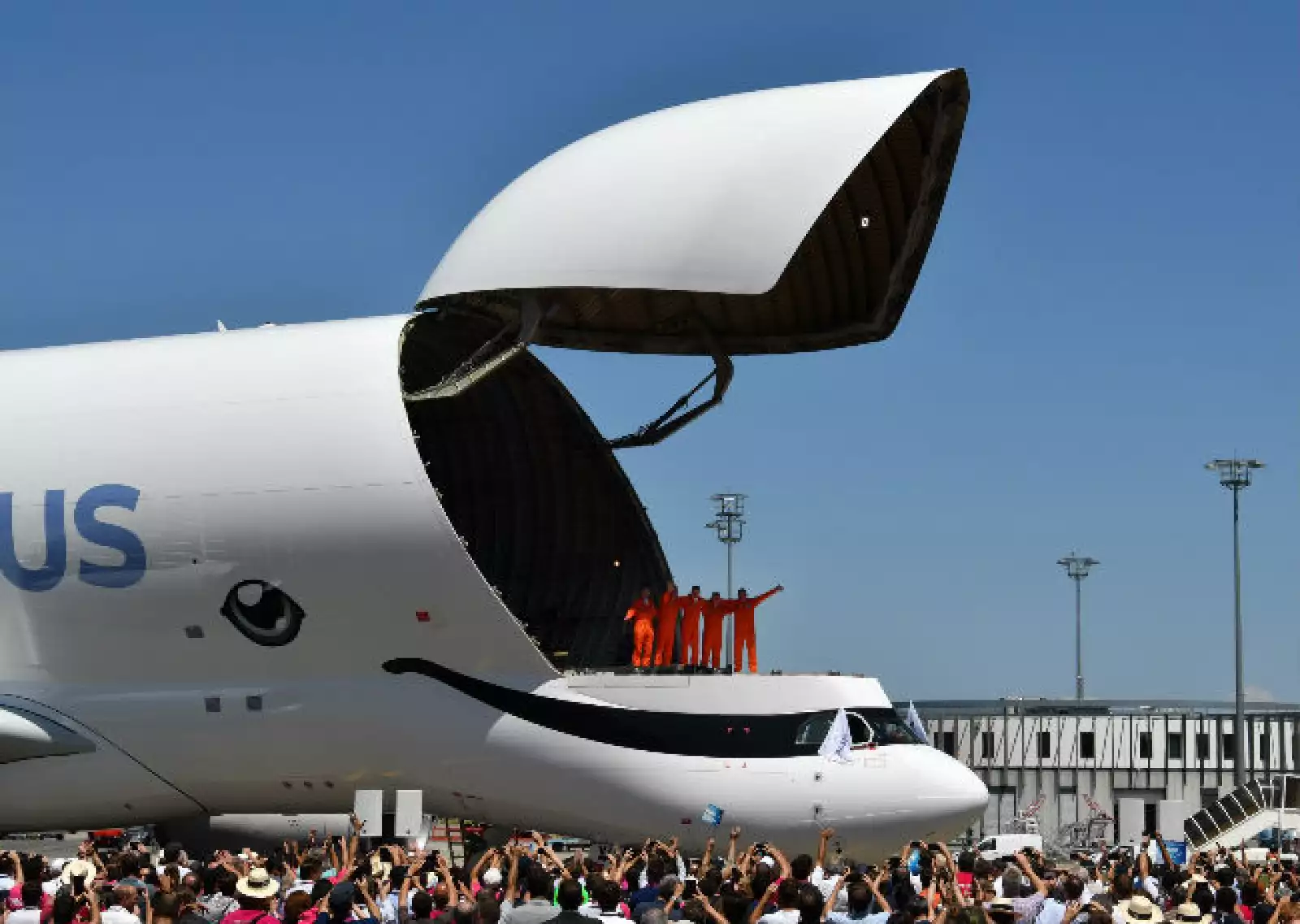 Beluga XL de Airbus 1