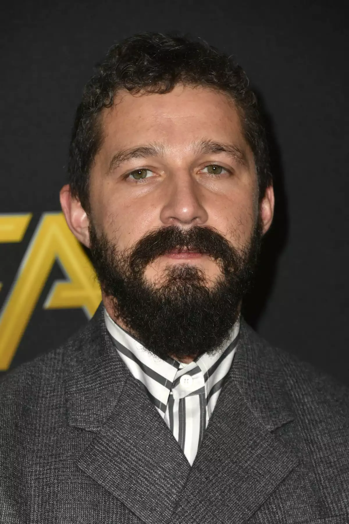Shia Labeouf