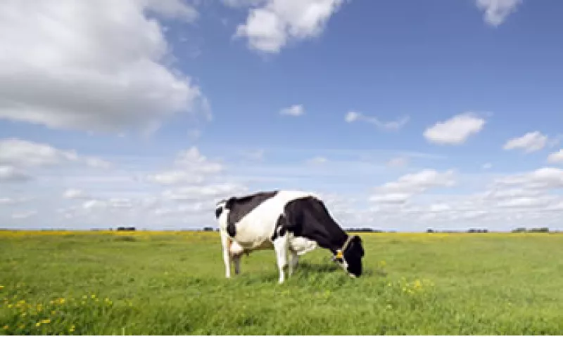 En 2012, Rusia importó 1.32 millones de toneladas de carne roja.  (Foto: Getty Images)