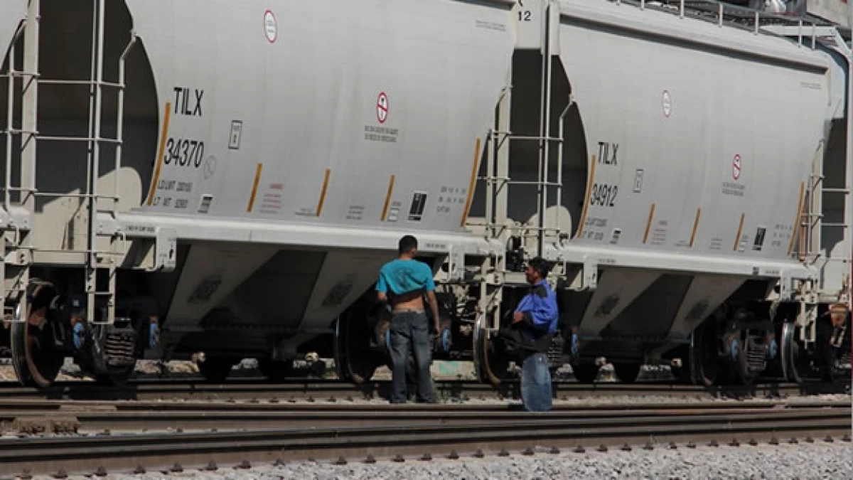migracion seguridad