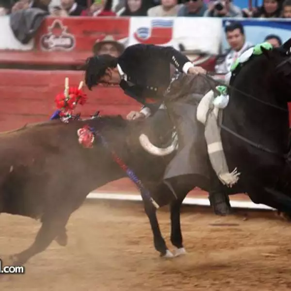 Rejoneador Diego Ventura