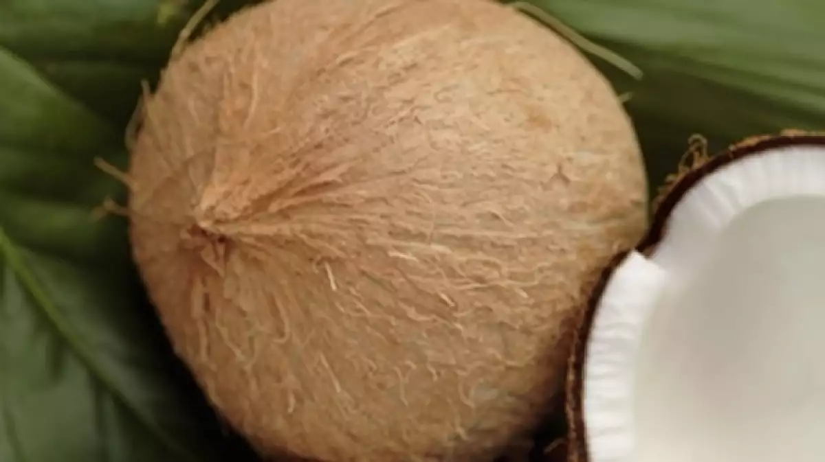 coco aceite