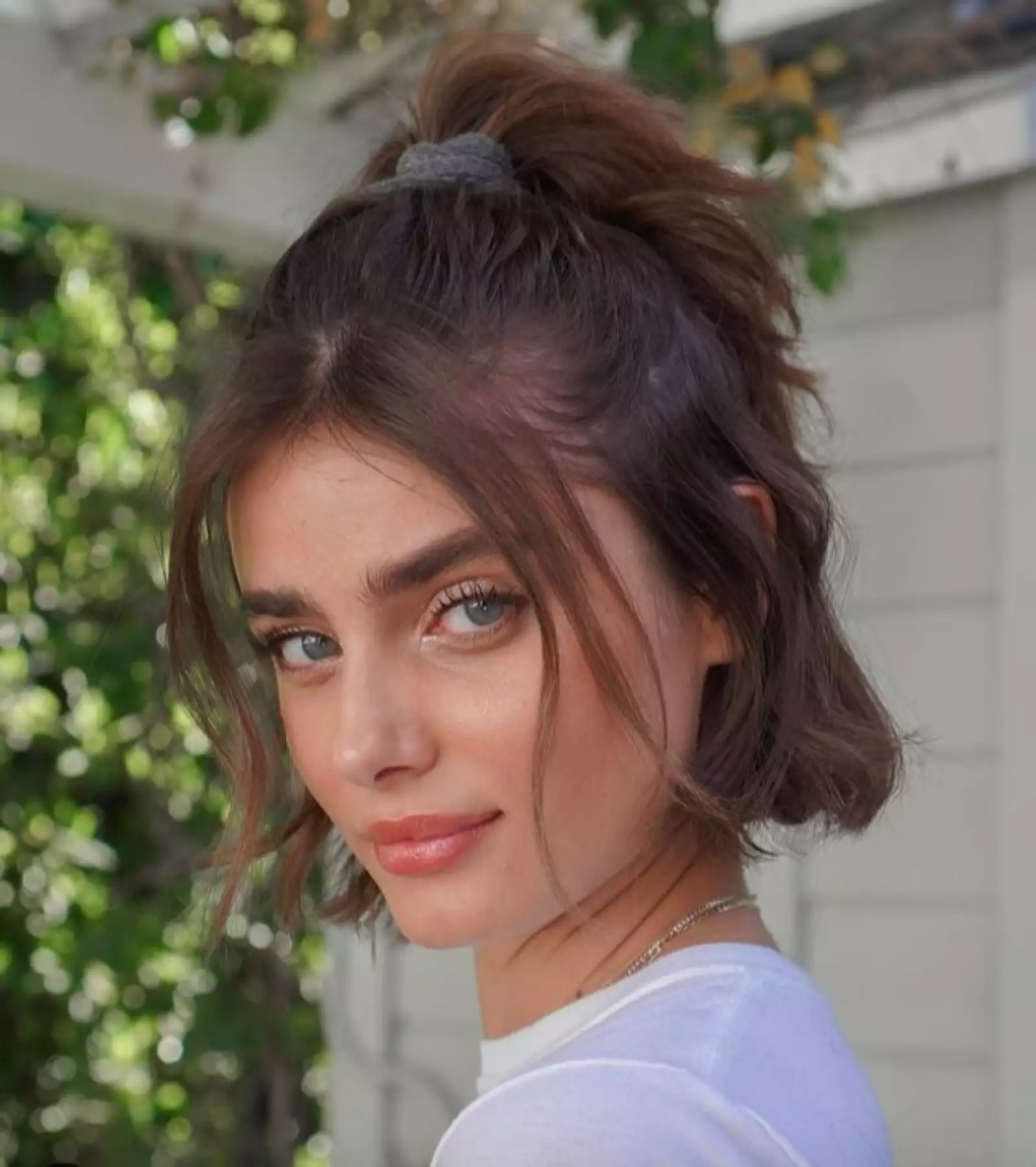 taylor-hill-pelo.jpg