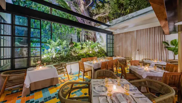 Se incluyeron sillones de rattan.