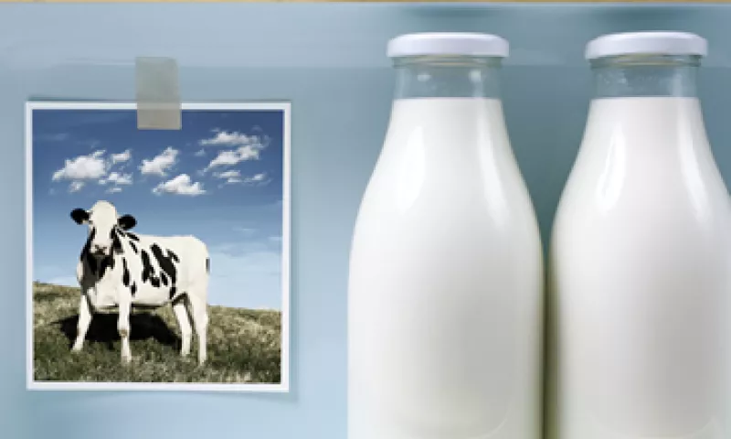 La categoría Leches de la empresa significó el 55.2% de las ventas totales de la compañía. (Foto: Especial)