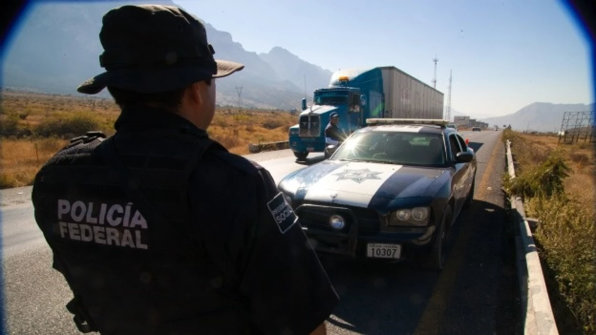 nl-violencia