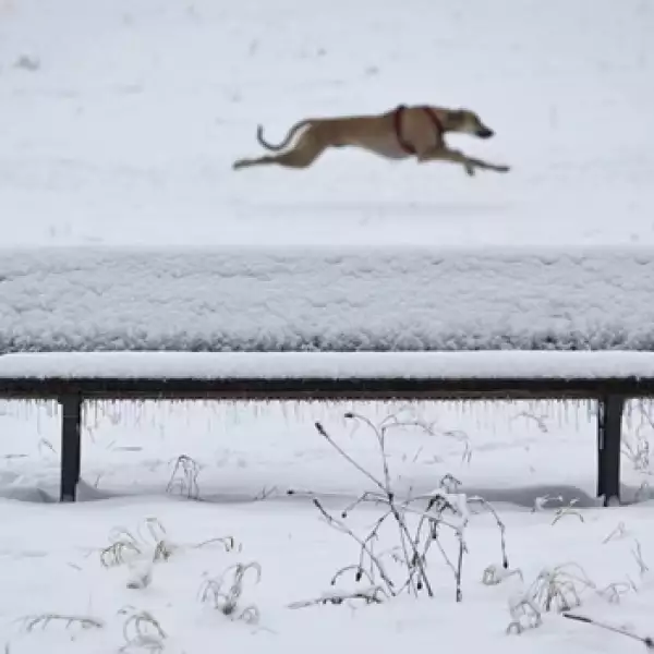 frio_nevadas_alemania