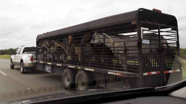 Evacuación