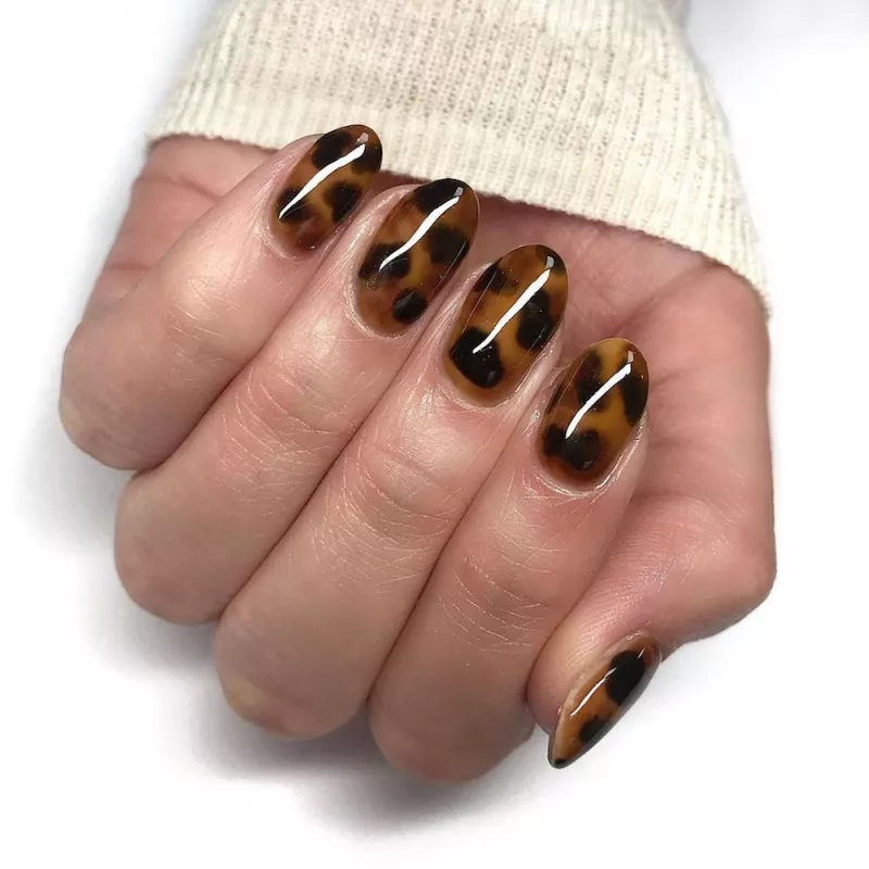 tortoiseshell.jpg