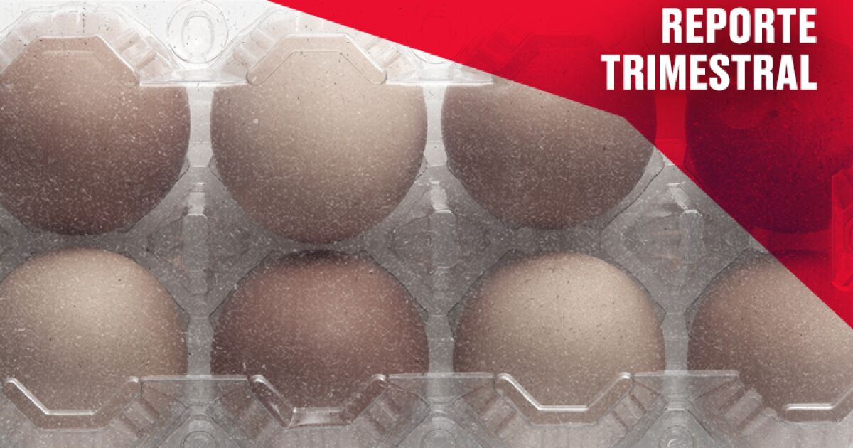 Bachoco, hammadde fiyatlarındaki istikrardan destek alıyor