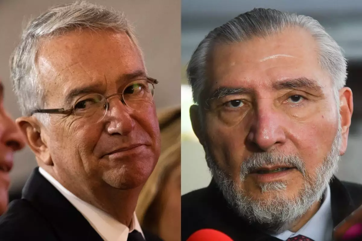 salinas pliego (2).jpg