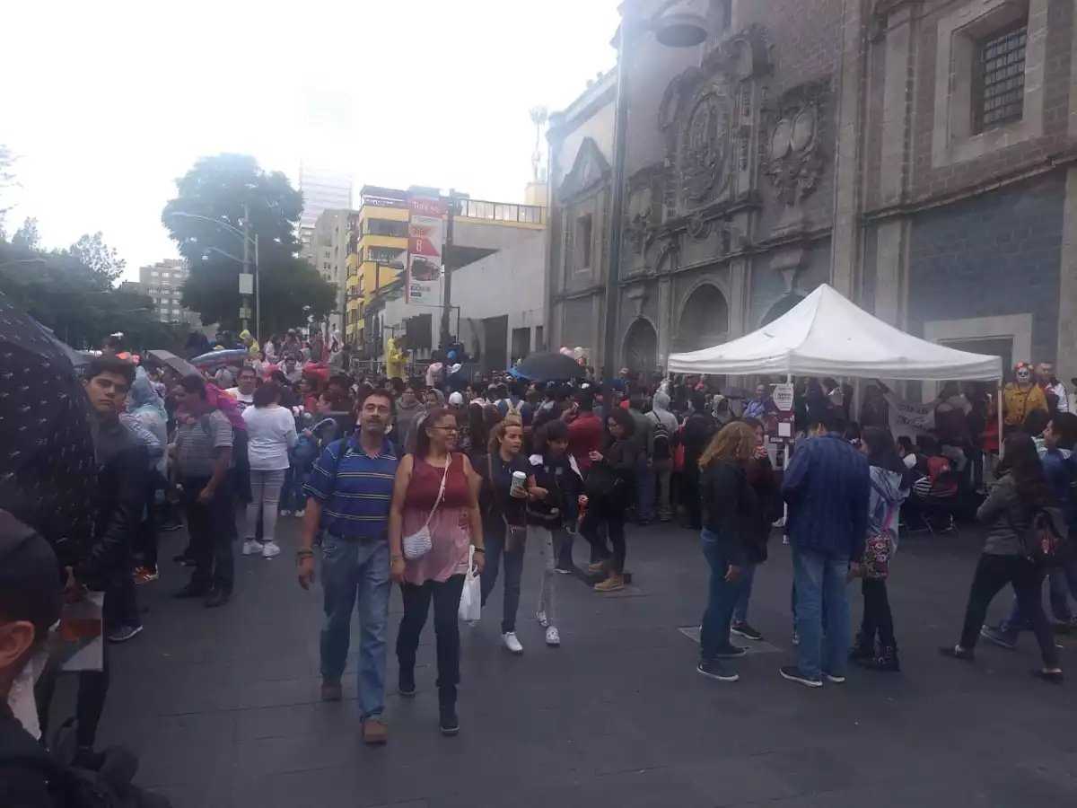Desfile consulta