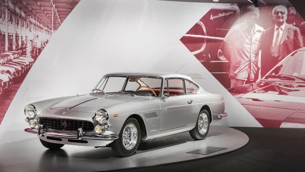 Driven by Enzo