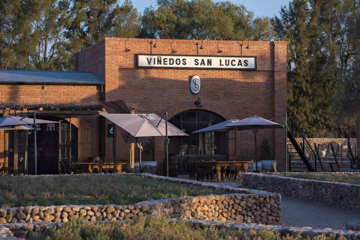 VISITA A LAS ESPINAS - VIÑEDO Y RESTAURANTE