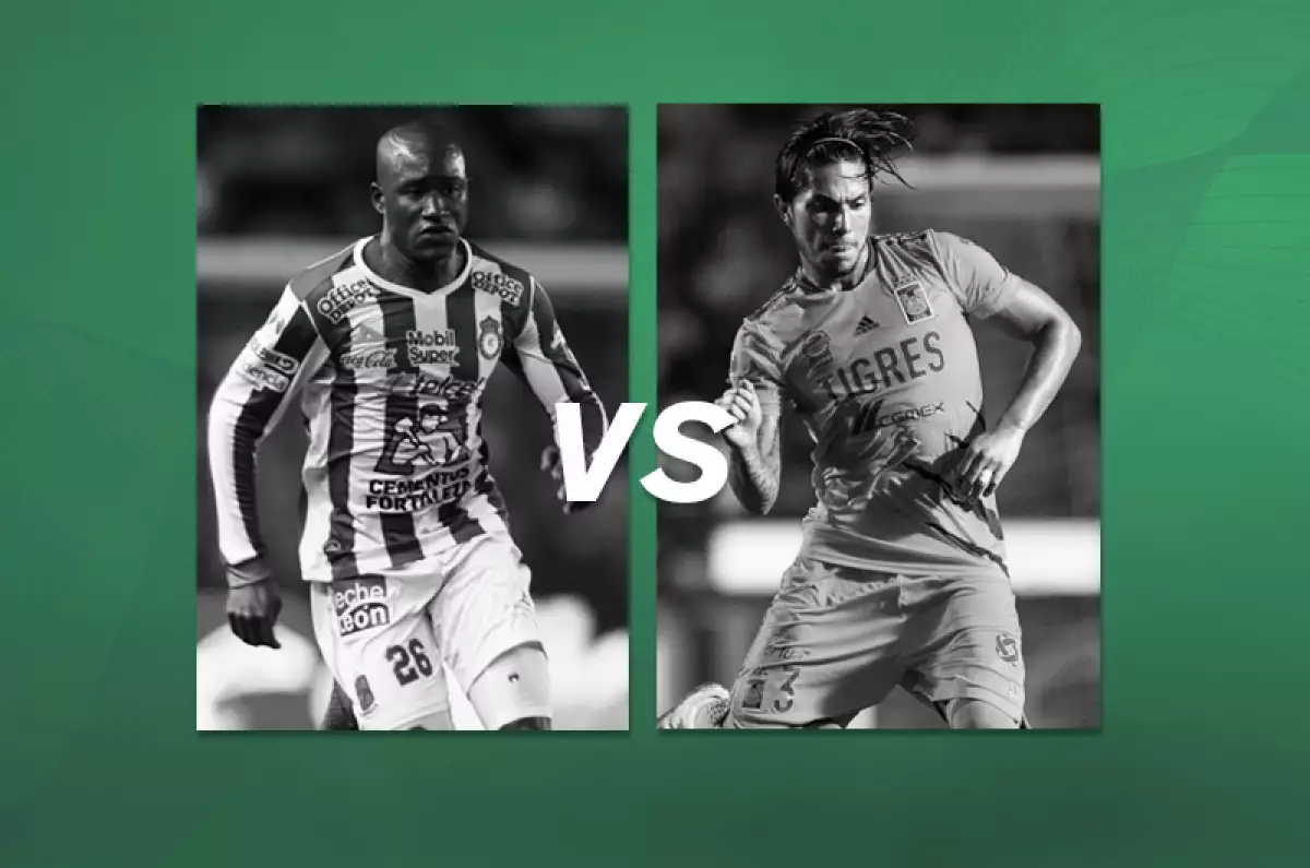 Tigres-Leon