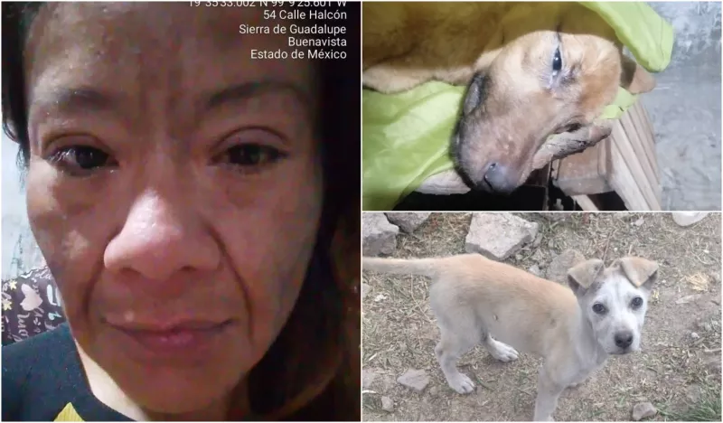 Diana Belén García Alfaro.jpg